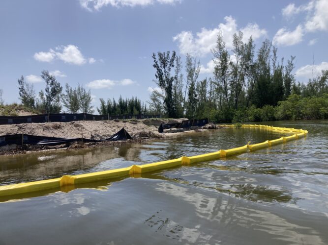 Mangrove removal results in notice of violation